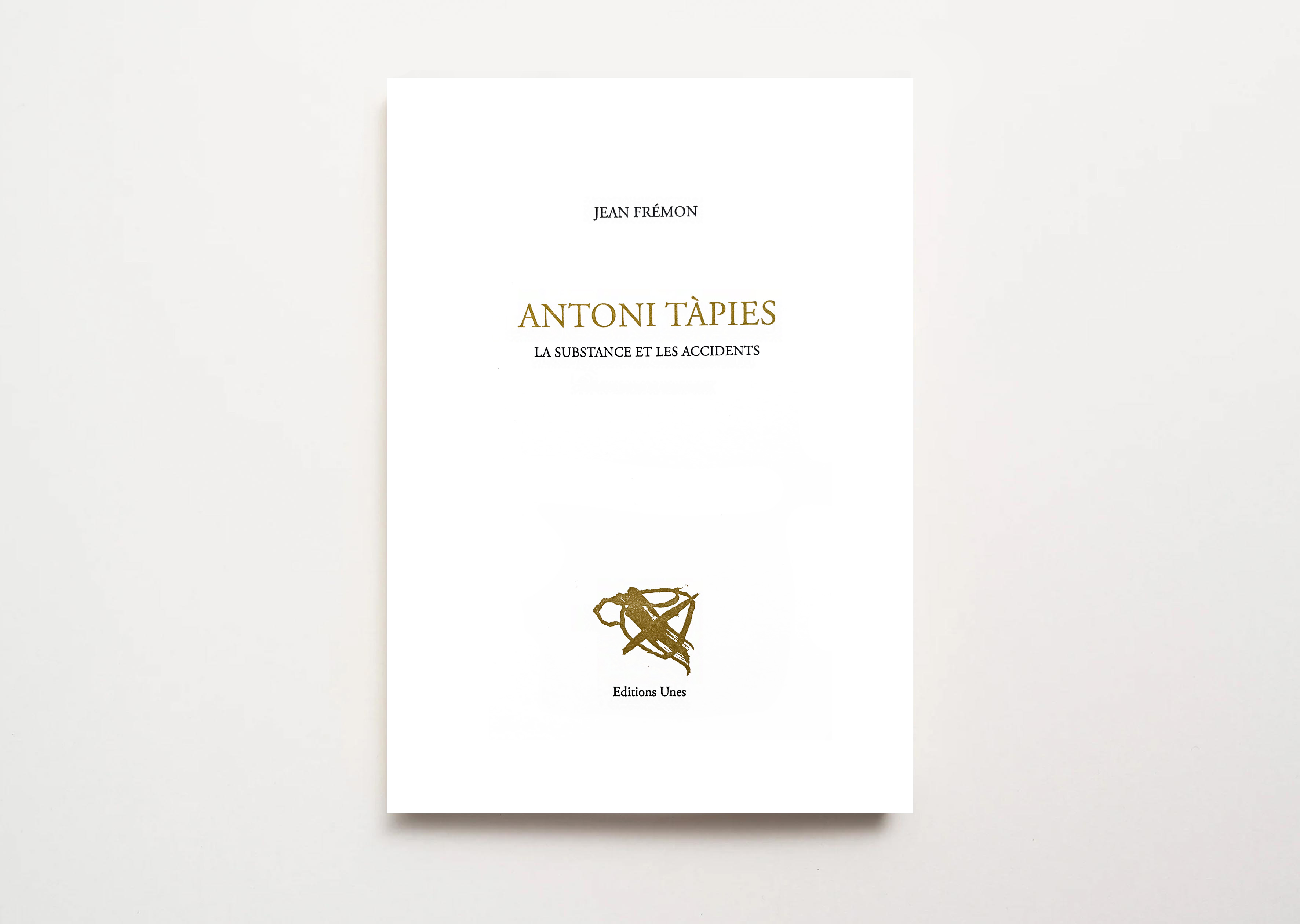 livre Antoni Tàpies. La substance et les accidents Antoni Tàpies